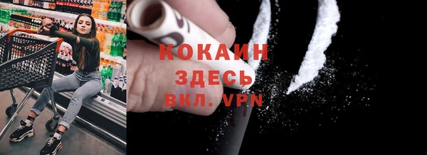 индика Наволоки