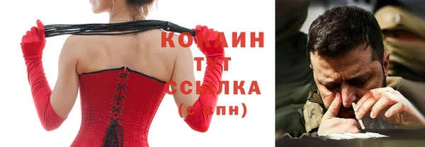 индика Наволоки