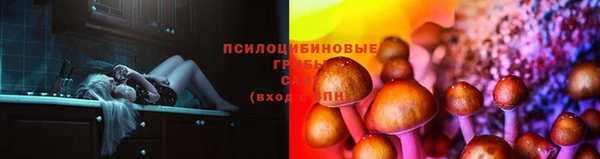 мдпв Навашино