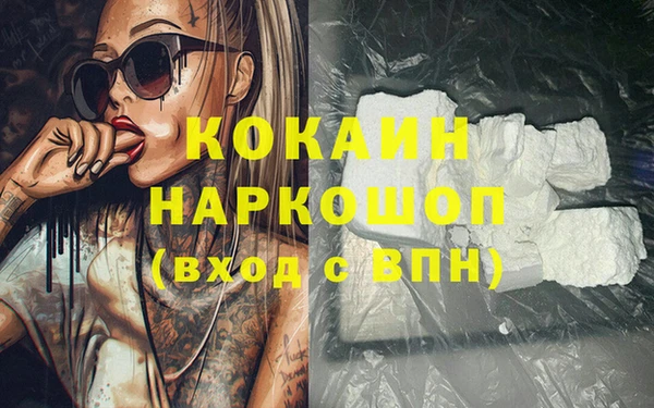 индика Наволоки
