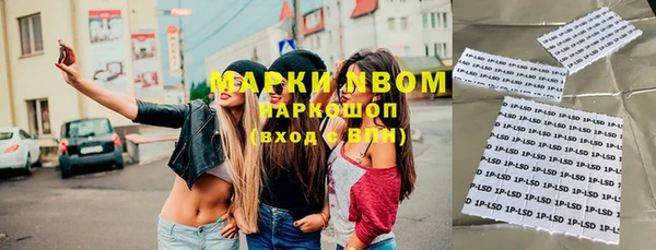 гашик Нефтекумск
