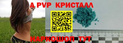 стаф Волгодонск