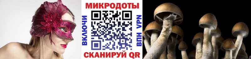 kraken как войти  Ирбит  Псилоцибиновые грибы MAGIC MUSHROOMS  наркотики 