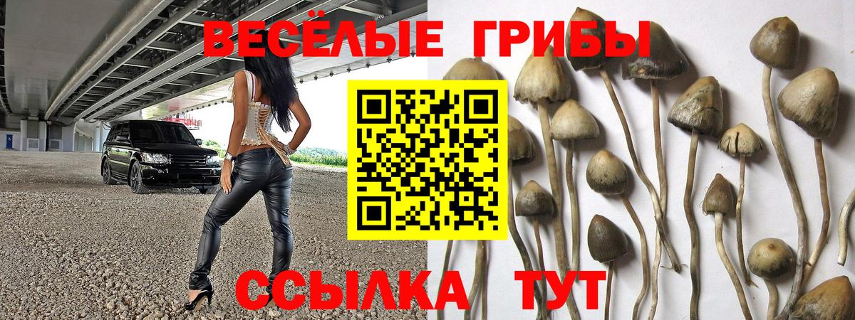Псилоцибиновые грибы Psilocybine cubensis  Вход с VPN  Ирбит 