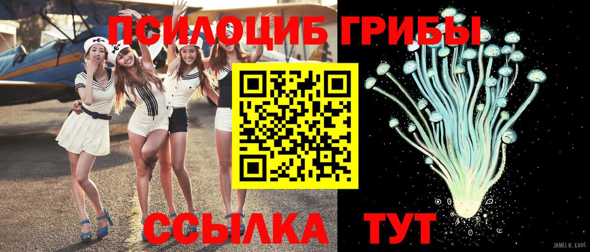 Псилоцибиновые грибы мухоморы  купить наркотик  Ирбит 